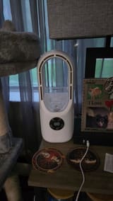 moni review image 1