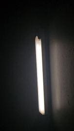 wo***09 review image 1